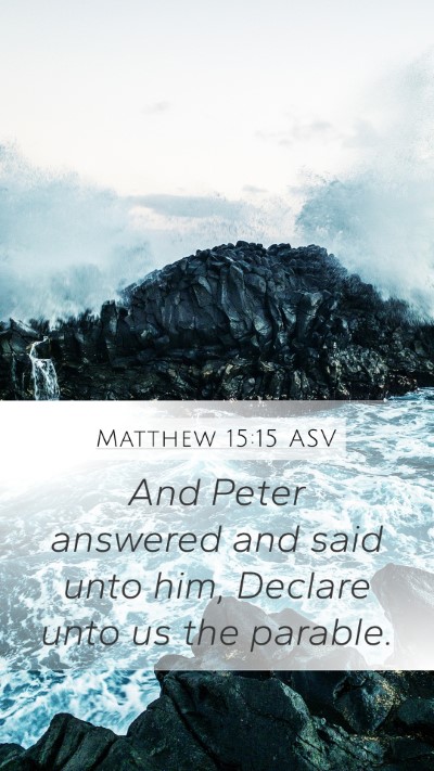 Matthew 15:15 ASV Bible Verse Image