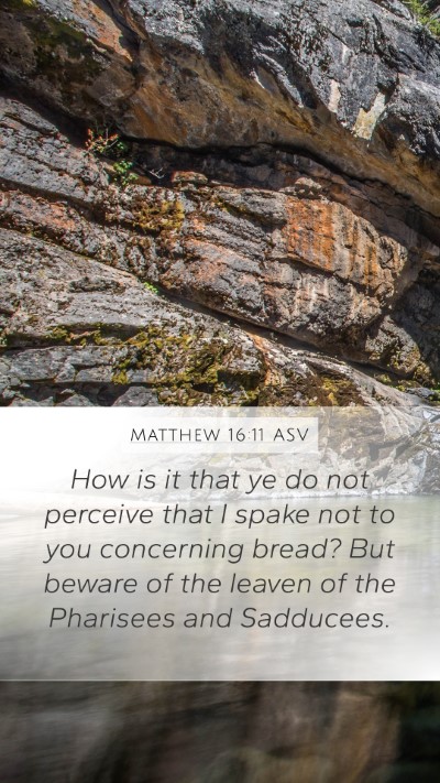 Matthew 16:11 ASV Bible Verse Image