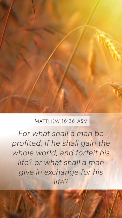 Matthew 16:26 ASV Bible Verse Image