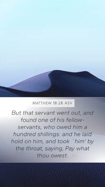 Matthew 18:28 ASV Bible Verse Image