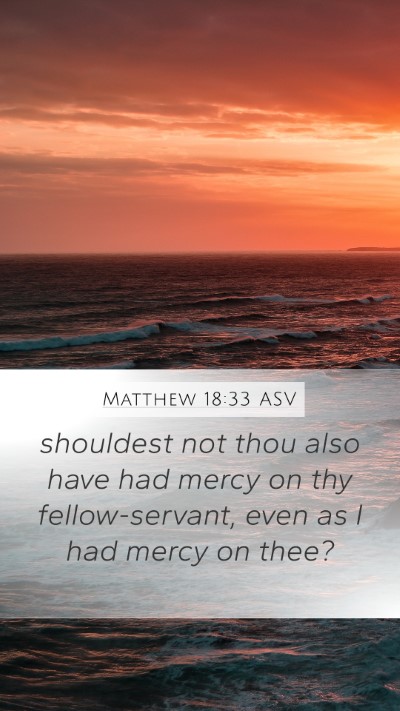 Matthew 18:33 ASV Bible Verse Image