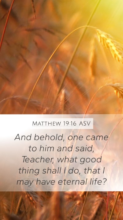Matthew 19:16 ASV Bible Verse Image