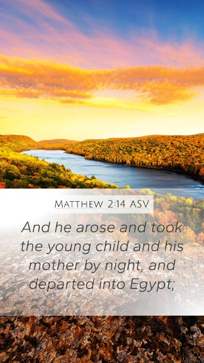 Matthew 2:14 ASV Mobile Phone Wallpaper - And he arose and took the young child and his - Mobile Bible Verse Wallpaper