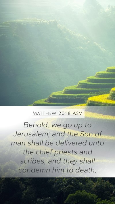 Matthew 20:18 ASV Bible Verse Image