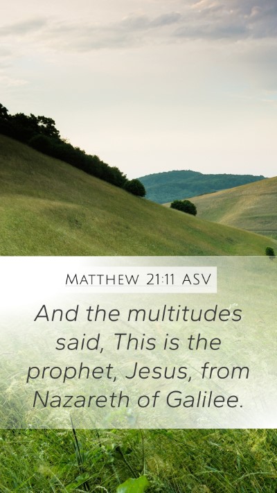Matthew 21:11 ASV Bible Verse Image