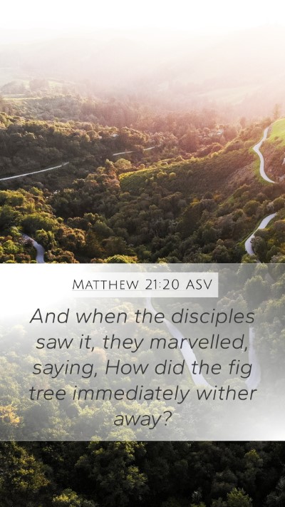 Matthew 21:20 ASV Mobile Phone Wallpaper - And when the disciples saw it, they marvelled, - Mobile Bible Verse Wallpaper