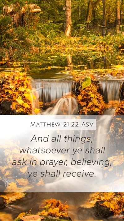 Matthew 21:22 ASV Bible Verse Image
