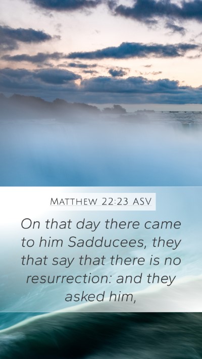 Matthew 22:23 ASV Bible Verse Image