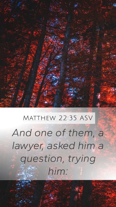Matthew 22:35 ASV Bible Verse Image