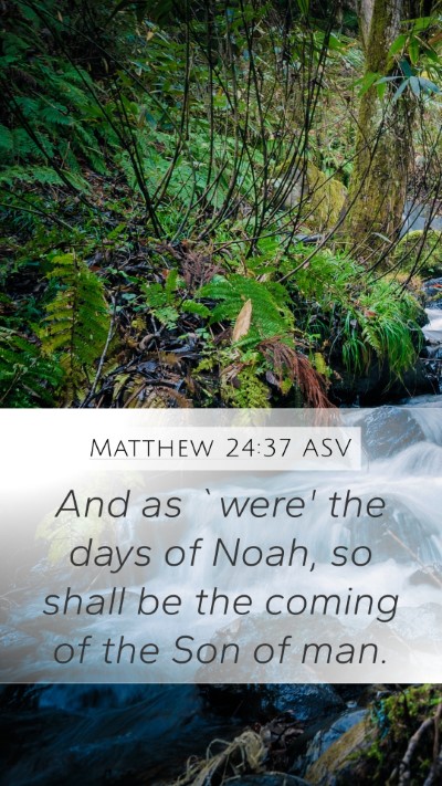 Matthew 24:37 ASV Bible Verse Image