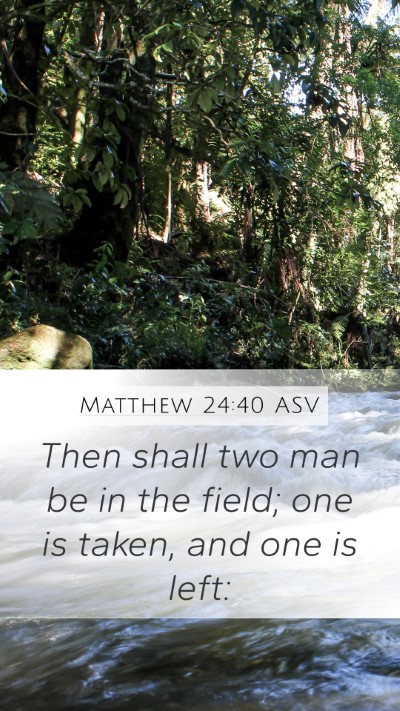 Matthew 24:40 ASV Bible Verse Image