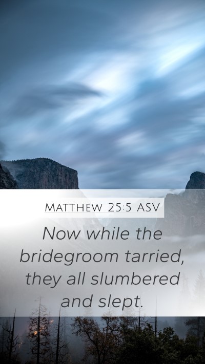 Matthew 25:5 ASV Bible Verse Image