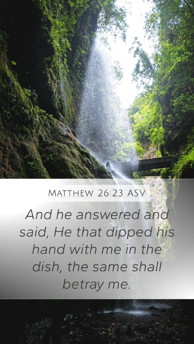 Matthew 26:23 ASV Bible Verse Image