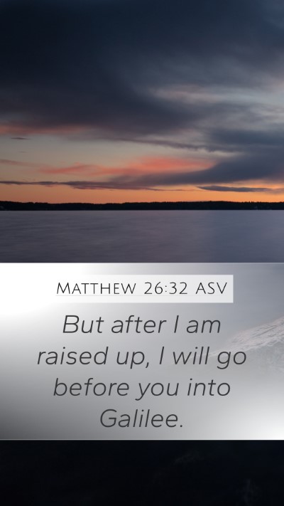 Matthew 26:32 ASV Bible Verse Image