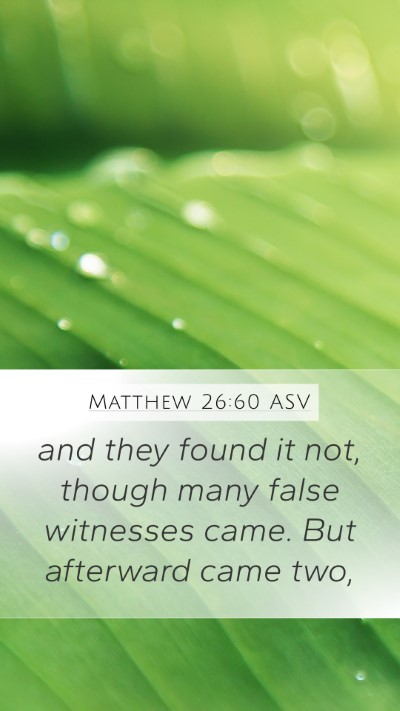 Matthew 26:60 ASV Bible Verse Image