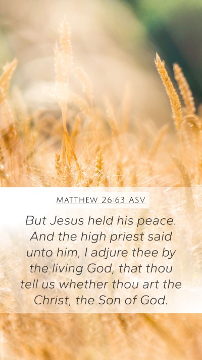 Matthew 26:63 ASV Bible Verse Image