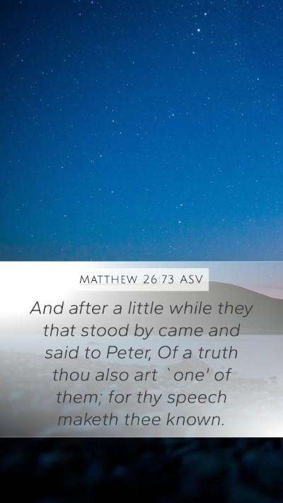 Matthew 26:73 ASV Mobile Phone Wallpaper - And after a little while they that stood by came - Mobile Bible Verse Wallpaper