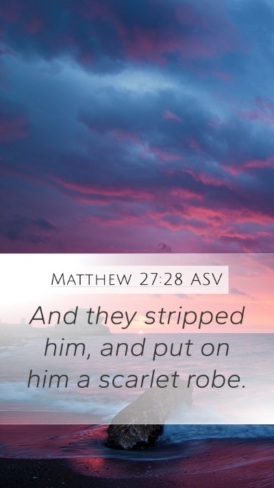 Matthew 27:28 ASV Bible Verse Image