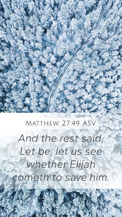 Matthew 27:49 ASV Bible Verse Image