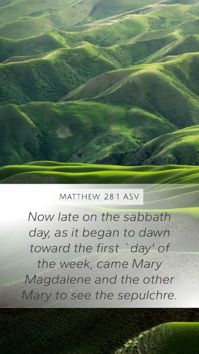 Matthew 28:1 ASV Bible Verse Image