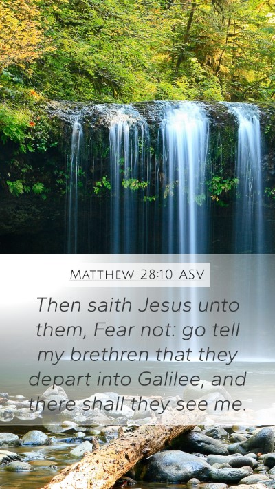 Matthew 28:10 ASV Bible Verse Image