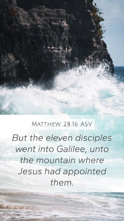 Matthew 28:16 ASV Bible Verse Image