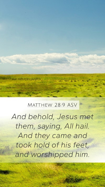 Matthew 28:9 ASV Bible Verse Image