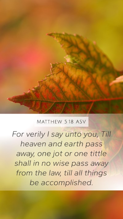 Matthew 5:18 ASV Bible Verse Image
