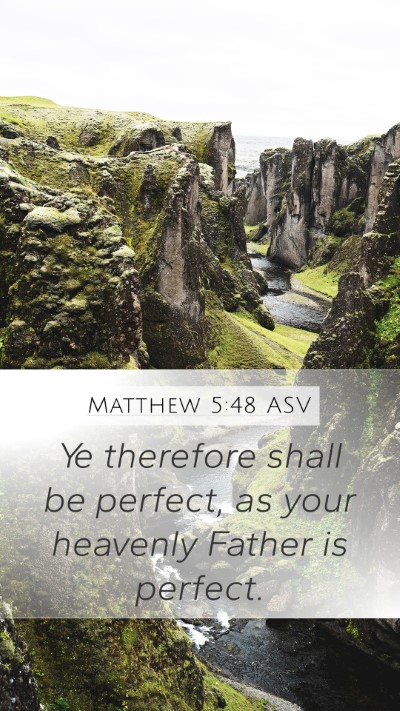 Matthew 5:48 ASV Bible Verse Image