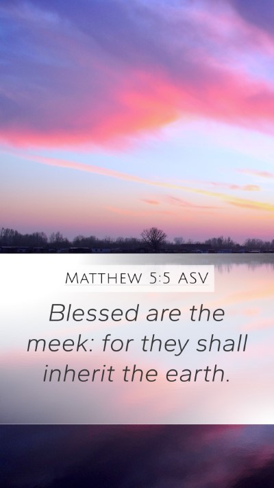 Matthew 5:5 ASV Bible Verse Image
