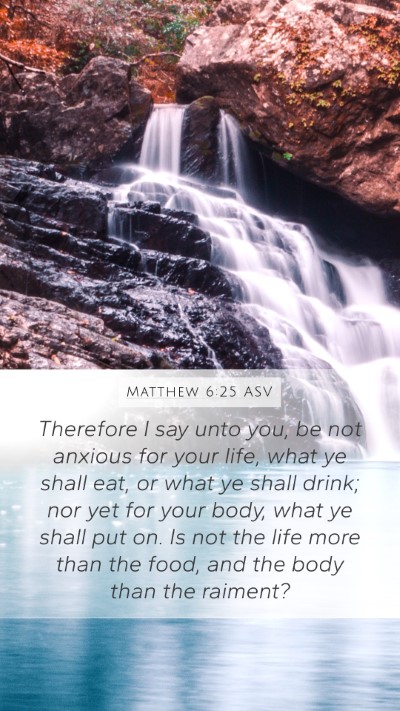 Matthew 6:25 ASV Bible Verse Image