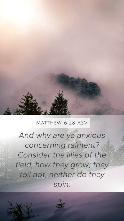 Matthew 6:28 ASV Bible Verse Image