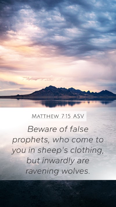 Matthew 7:15 ASV Bible Verse Image