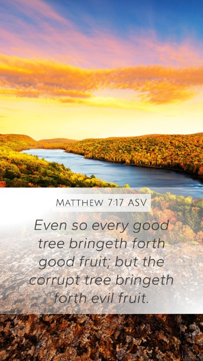 Matthew 7:17 ASV Bible Verse Image