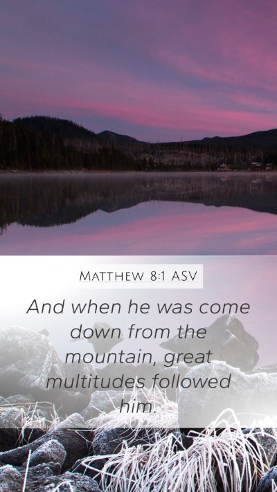 Matthew 8:1 ASV Bible Verse Image