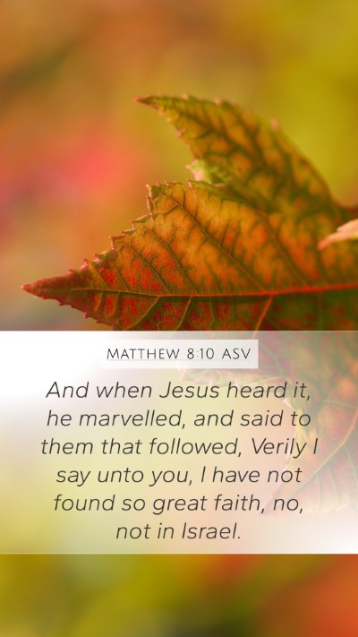 Matthew 8:10 ASV Bible Verse Image