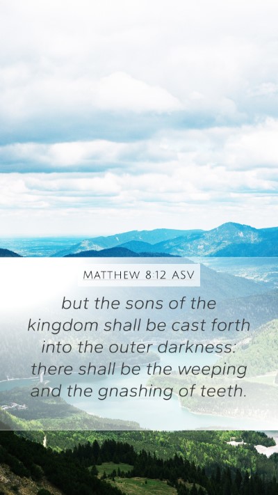 Matthew 8:12 ASV Bible Verse Image