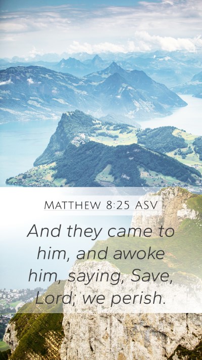 Matthew 8:25 ASV Mobile Phone Wallpaper - And they came to him, and awoke him, saying, - Mobile Bible Verse Wallpaper