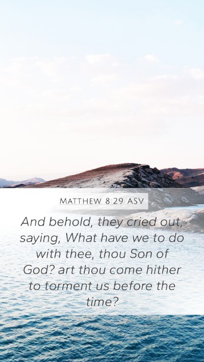 Matthew 8:29 ASV Bible Verse Image