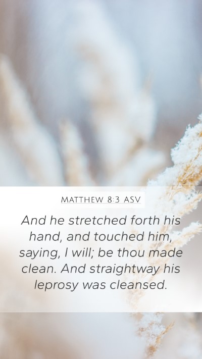 Matthew 8:3 ASV Bible Verse Image