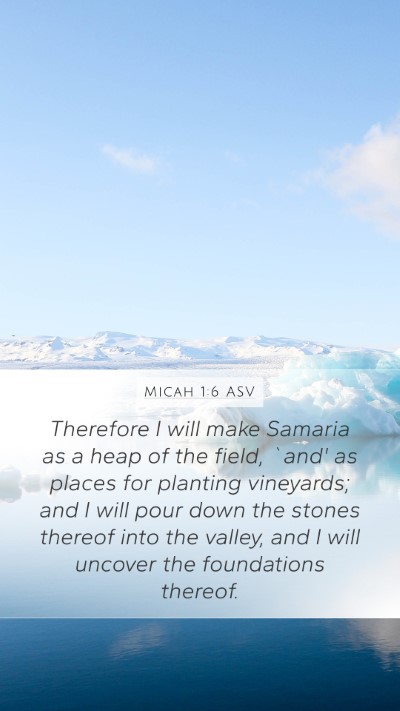 Micah 1:6 ASV Bible Verse Image
