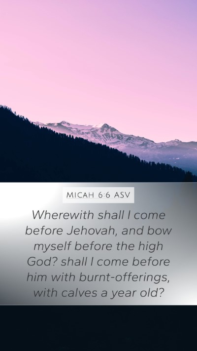 Micah 6:6 ASV Bible Verse Image