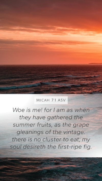 Micah 7:1 ASV Bible Verse Image