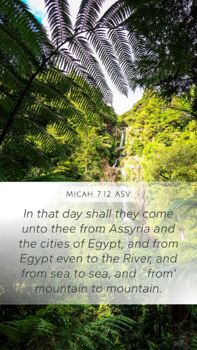Micah 7:12 ASV Bible Verse Image