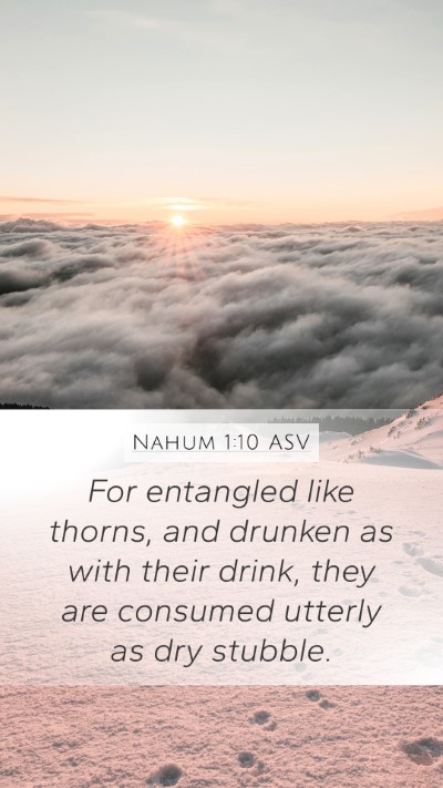Nahum 1:10 ASV Bible Verse Image