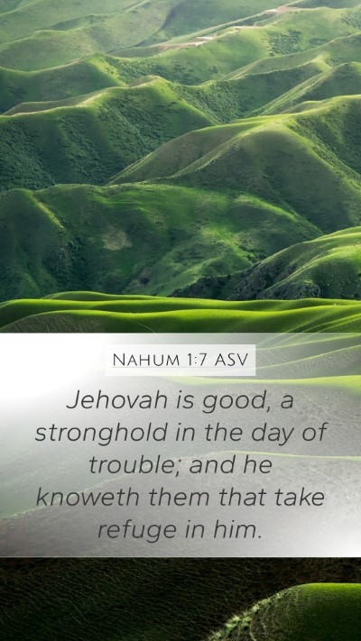 Nahum 1:7 ASV Bible Verse Image