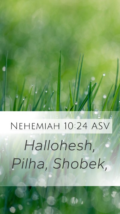 Nehemiah 10:24 ASV Mobile Phone Wallpaper - Hallohesh, Pilha, - Mobile Bible Verse Wallpaper