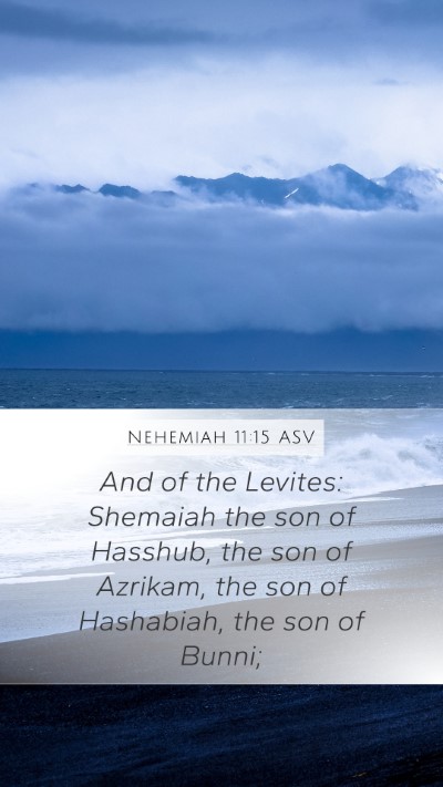 Nehemiah 11:15 ASV Mobile Phone Wallpaper - And of the Levites: Shemaiah the son of Hasshub, - Mobile Bible Verse Wallpaper