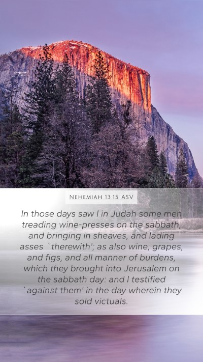 Nehemiah 13:15 ASV Bible Verse Image
