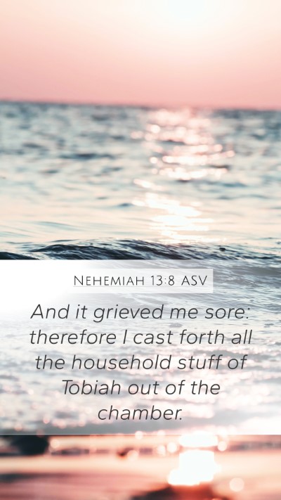 Nehemiah 13:8 ASV Bible Verse Image
